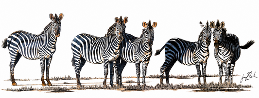 Gary Streak original oil painting on stretched canvas depicting a zebra herd standing together in a clean minimalist composition