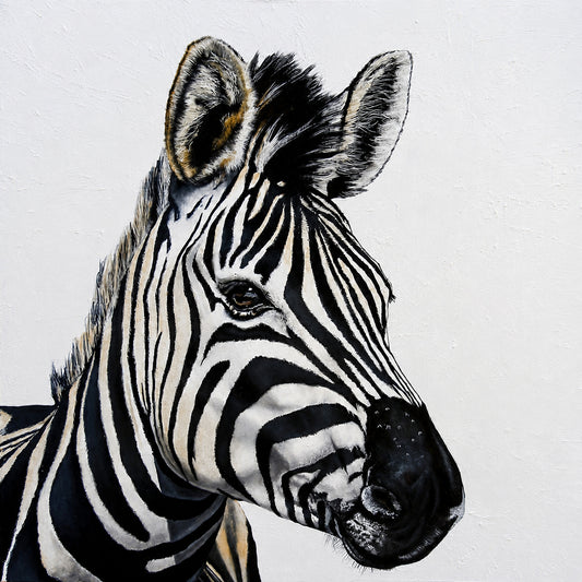Original oil artwork featuring a close-up zebra portrait against a clean, softly textured neutral background.