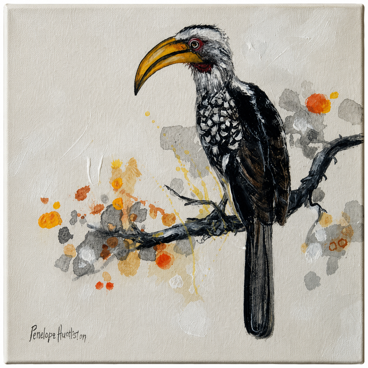 Penelope Hunter original acrylic painting on stretched canvas depicting a black-and-white hornbill with a golden bill perched on a branch