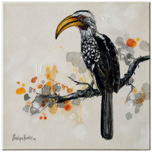 Penelope Hunter original acrylic painting on stretched canvas depicting a black-and-white hornbill with a golden bill perched on a branch