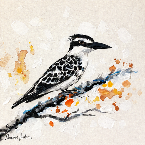 Penelope Hunter original acrylic painting on stretched canvas depicting a black-and-white kingfisher perched on a textured branch