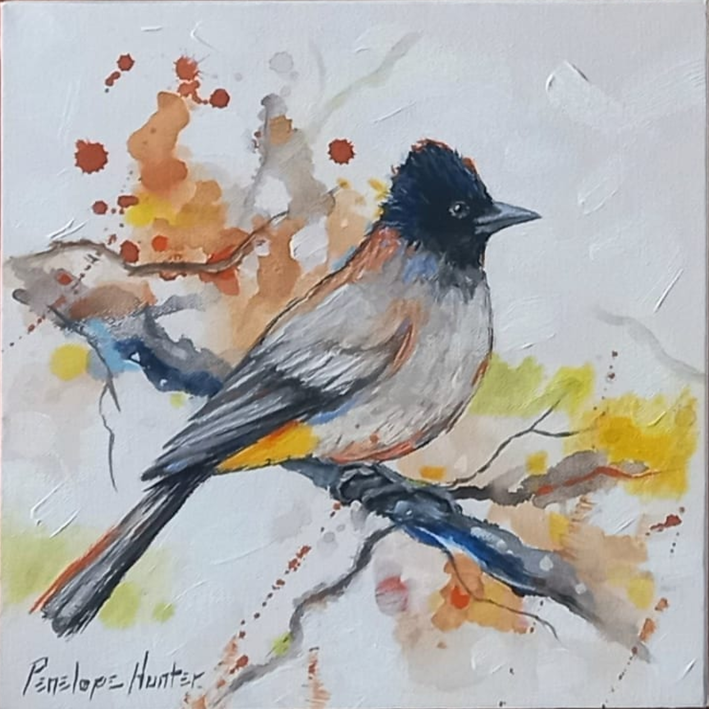 Penelope Hunter original acrylic painting on stretched canvas depicting a dark-crested grey bird perched amid soft natural colour washes