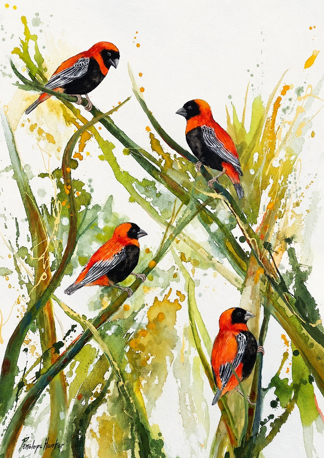 Penelope Hunter original acrylic painting on stretched canvas depicting four red and black birds perched among tall green reeds