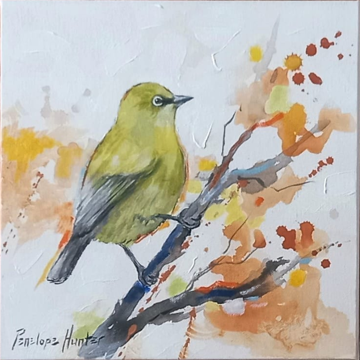 Penelope Hunter original acrylic painting on stretched canvas depicting an olive-green bird with an orange tail perched on a branch