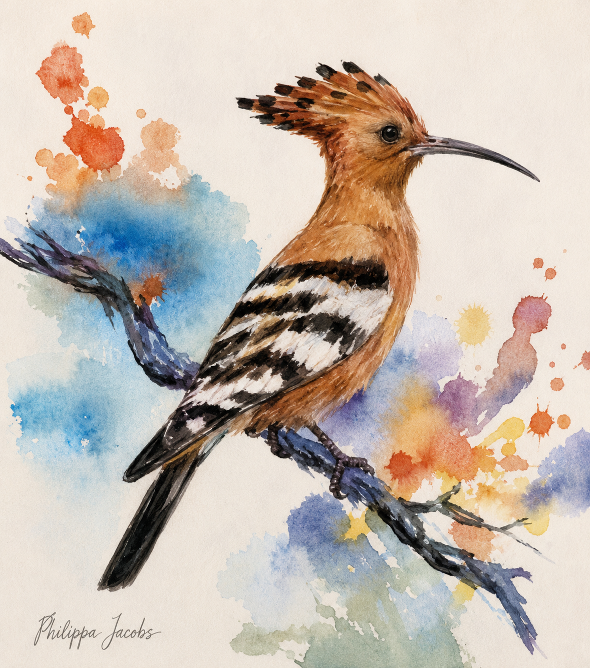 Penelope Hunter original acrylic painting on stretched canvas depicting a crested hoopoe perched on a branch amid soft colour washes