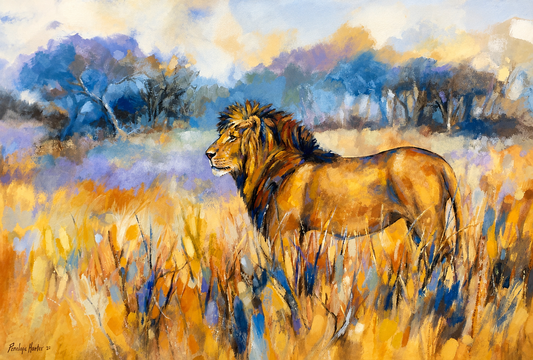 Penelope Hunter original acrylic painting on stretched canvas depicting a male African lion standing in tall golden grassland