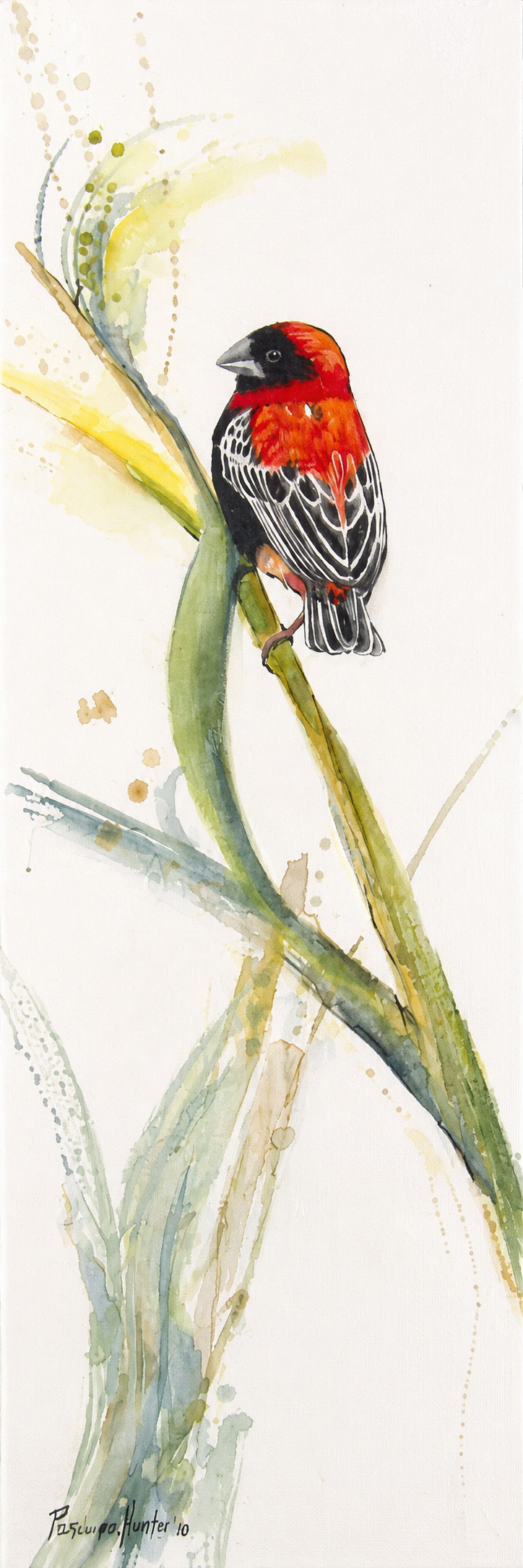 Penelope Hunter original acrylic painting on stretched canvas depicting a red and black bird perched among tall green reeds