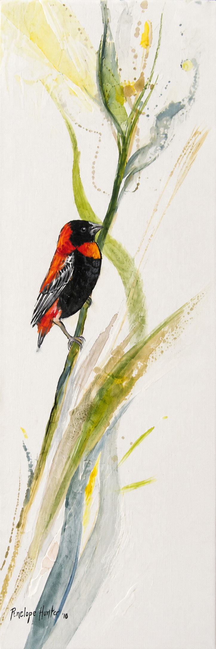 Penelope Hunter original acrylic painting on stretched canvas depicting a red and black bird perched among tall green stems