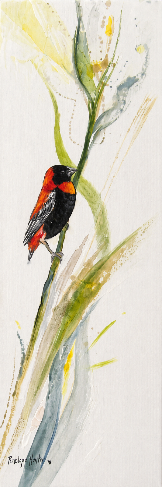 Penelope Hunter original acrylic painting on stretched canvas depicting a red and black bird perched among tall green stems