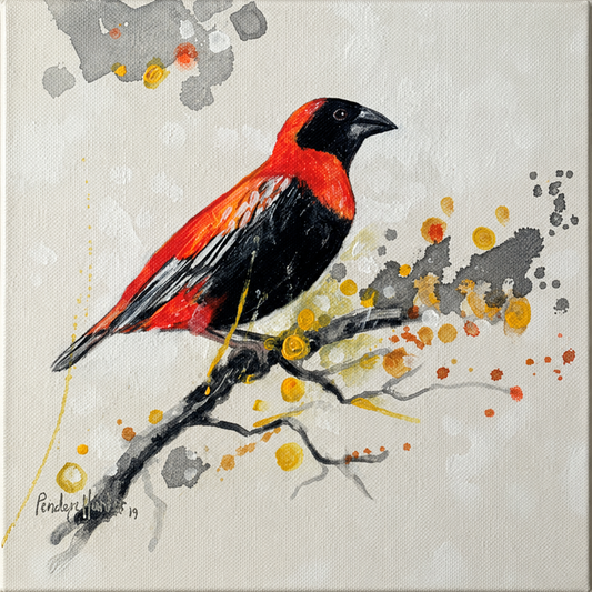 Penelope Hunter original acrylic painting on stretched canvas depicting a vivid red and black bird perched on a dark grey branch