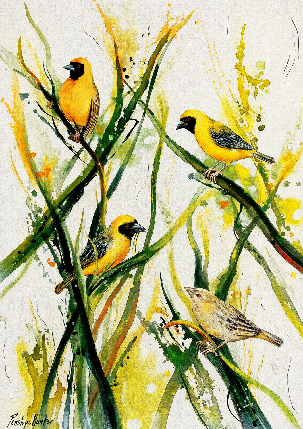 Penelope Hunter original acrylic painting on stretched canvas depicting four yellow and neutral birds perched among tall green reeds