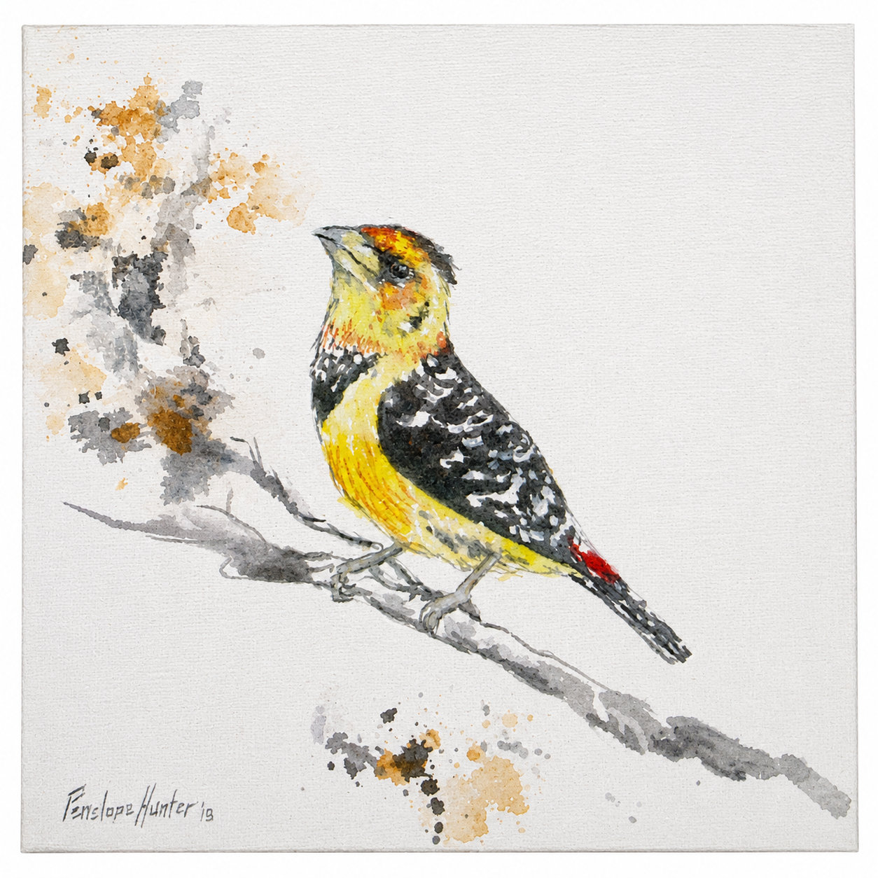 Penelope Hunter original acrylic painting on stretched canvas depicting a spotted yellow, black and white bird perched on a grey branch