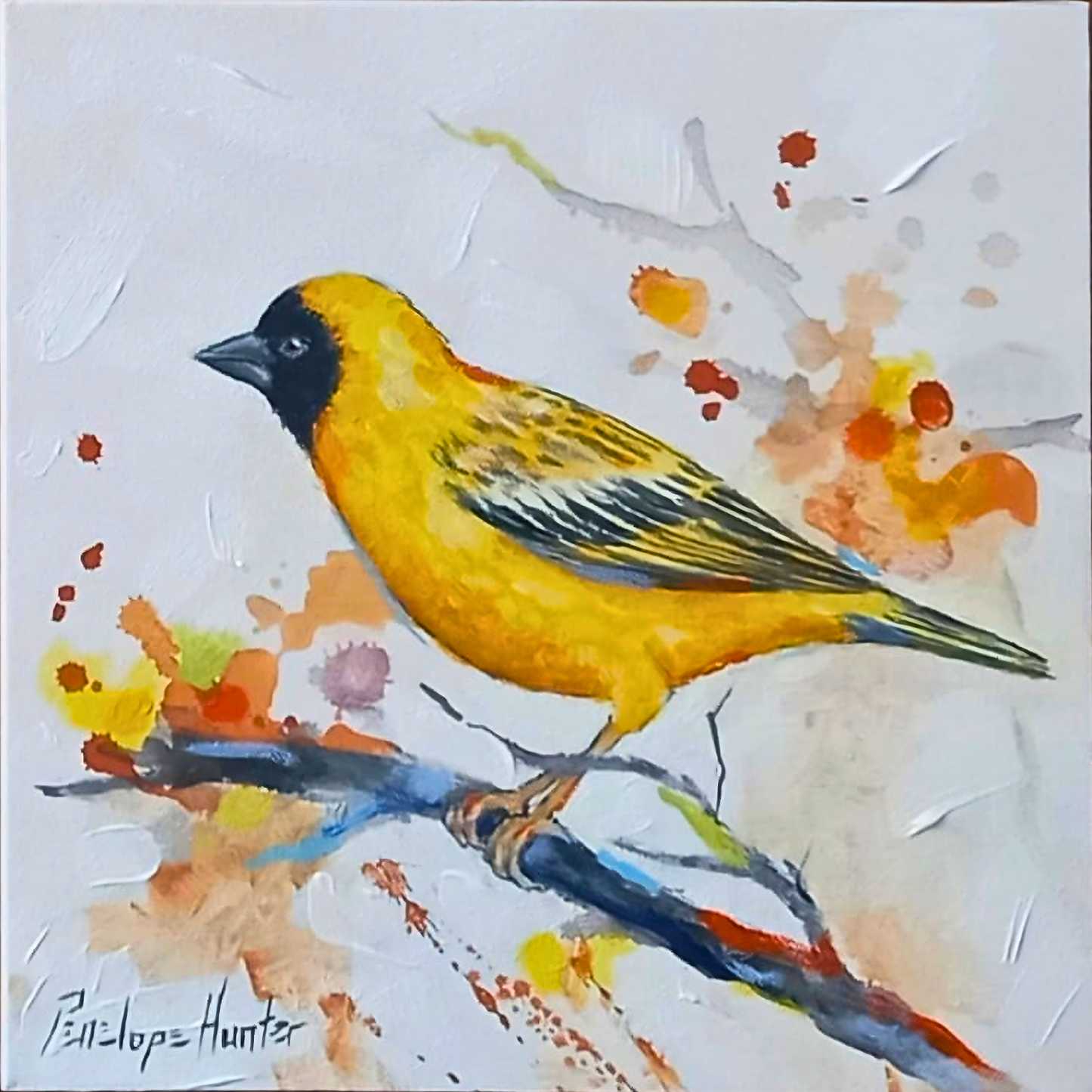 Penelope Hunter original acrylic painting on stretched canvas depicting a golden-yellow songbird with a dark head perched on a colourful branch