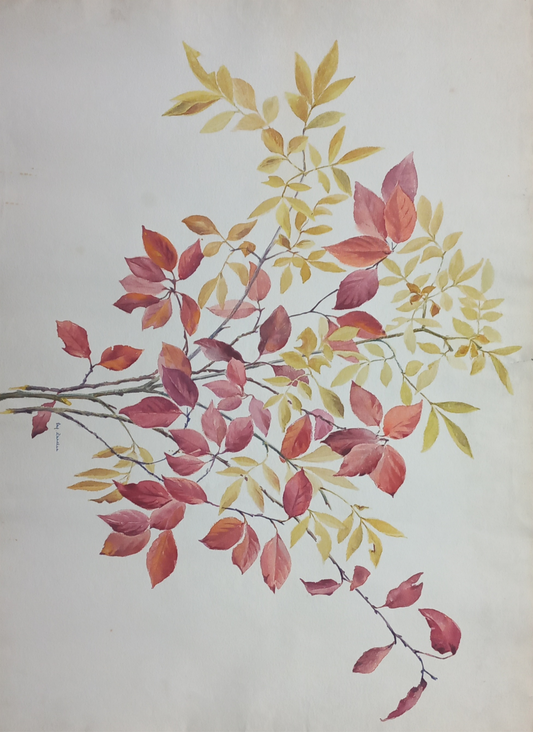 Suz Zurcher original watercolour artwork on artist paper depicting a branching arrangement of red, gold and green autumn leaves