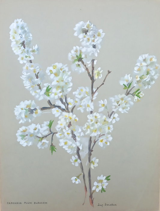 Suz Zurcher original watercolour artwork on artist paper depicting delicate white Japanese plum blossoms on slender branches