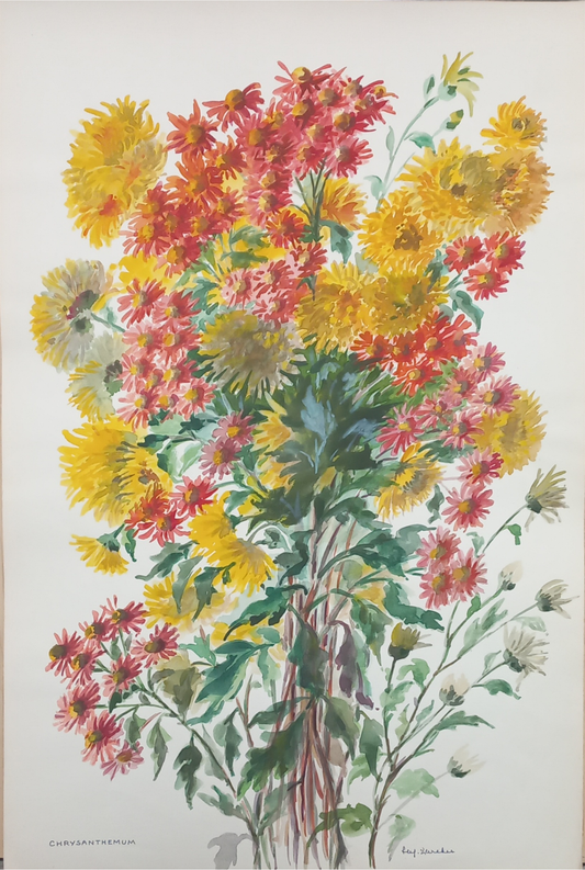 Suz Zurcher original watercolour artwork on artist paper depicting a full arrangement of yellow, pink and red chrysanthemums