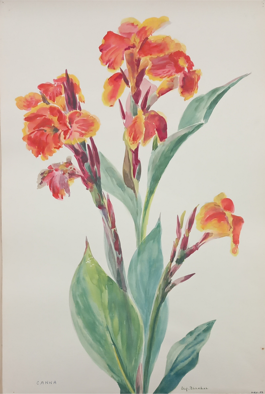 Suz Zurcher original watercolour artwork on artist paper depicting vibrant orange canna lilies with broad green leaves