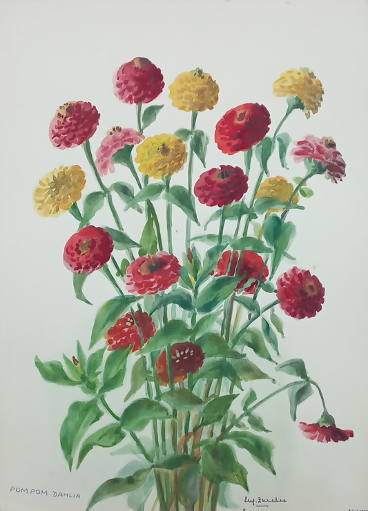 Suz Zurcher original watercolour artwork on artist paper depicting red, pink and yellow pompon dahlias on tall green stems