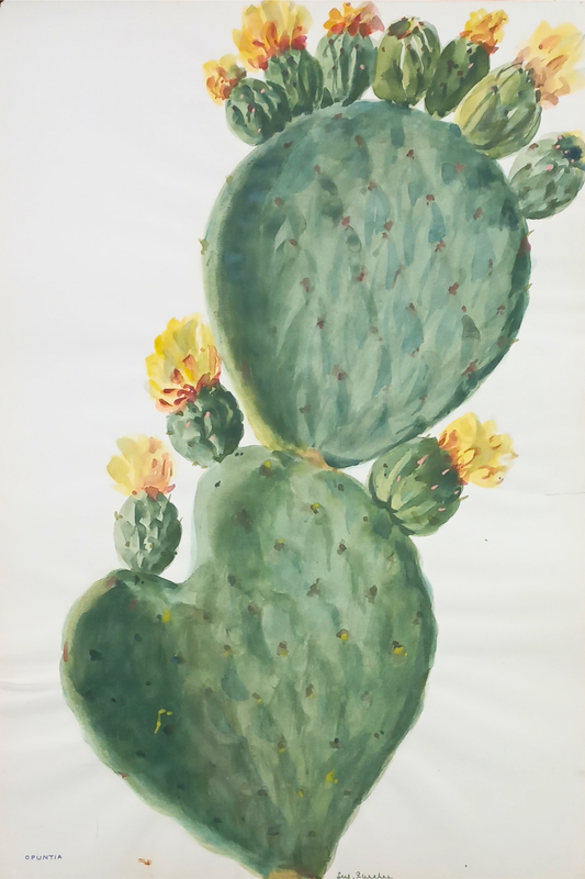 Suz Zurcher original watercolour artwork on artist paper depicting a flowering prickly pear cactus with green pads and yellow-orange blossoms