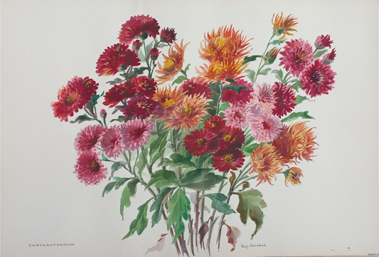 Suz Zurcher original watercolour artwork on artist paper depicting red, orange and pink chrysanthemums with natural green foliage