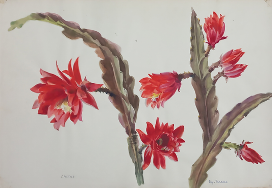 Suz Zurcher original watercolour artwork on artist paper depicting vivid red cactus flowers on sculptural segmented stems