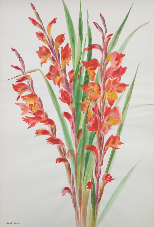 Suz Zurcher original watercolour artwork on artist paper depicting tall red and orange gladiolus flowers among slender green leaves