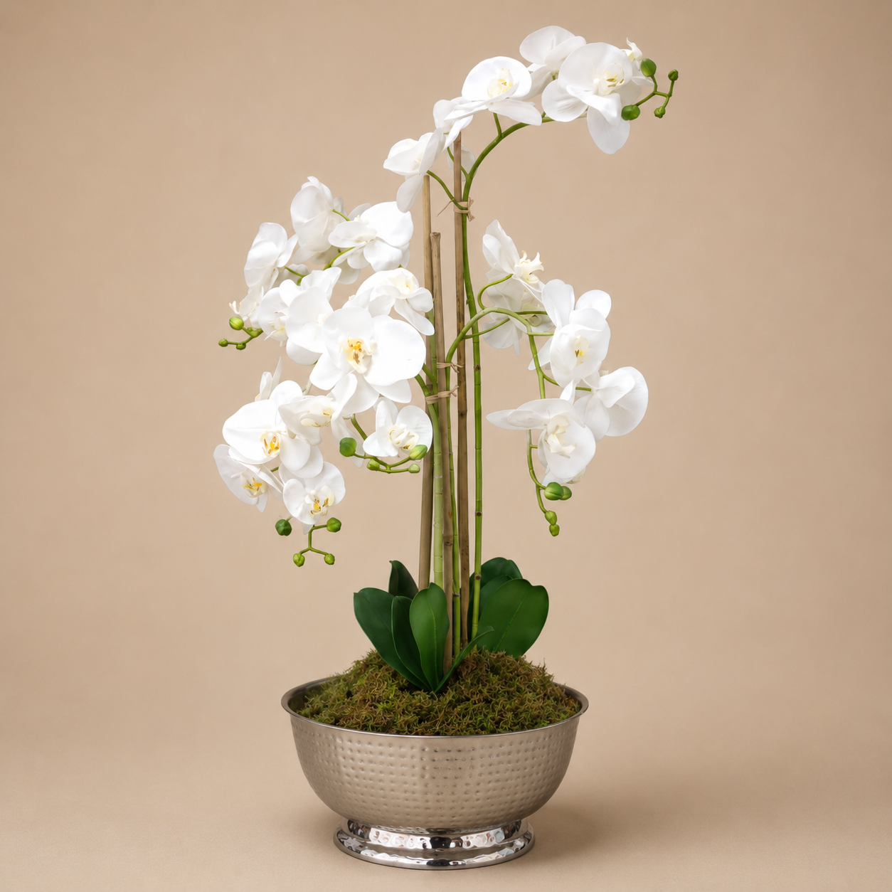 White Orchid Arrangement Silver Bowl photographed on a warm beige studio background