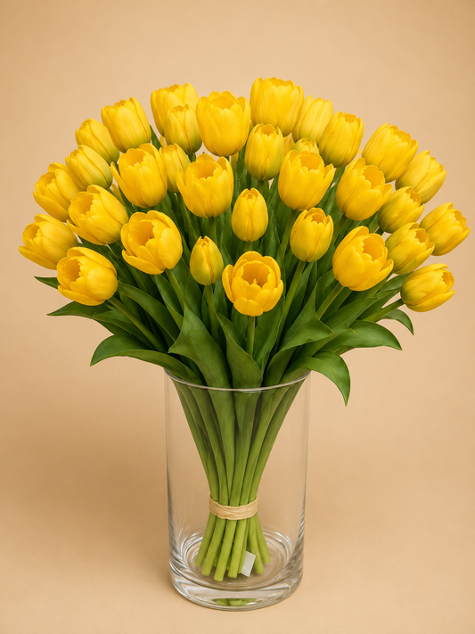 Yellow Tulip Arrangement Glass Vase photographed on a warm beige studio background